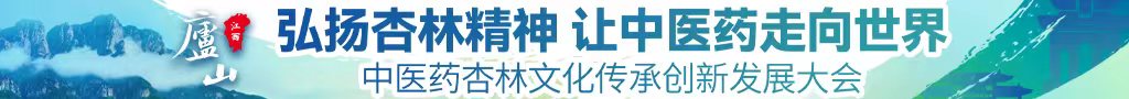 男人操屄视频网站中医药杏林文化传承创新发展大会